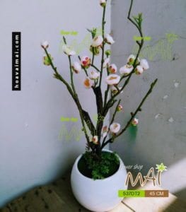 Chậu đào nhỏ 537DT2
