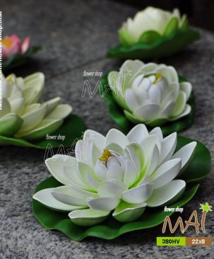 Sen thả nước 380HV