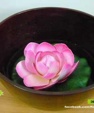 Sen thả nước 380HV