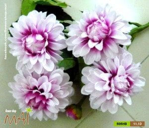 Thược dược 505HB