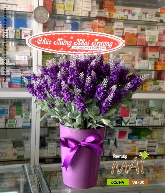 Chậu Lavender 525HV - Ảnh 3