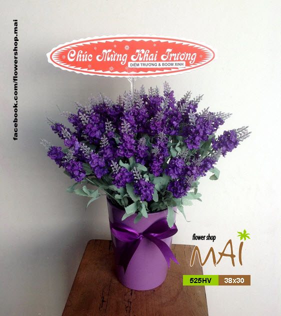 Chậu Lavender 525HV - Ảnh 2