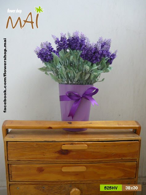Chậu Lavender 525HV