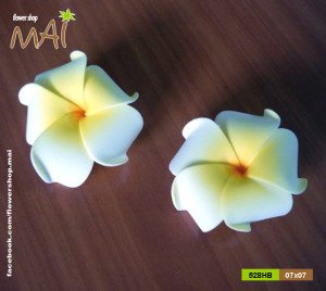 Hoa sứ giả như thật 528HB