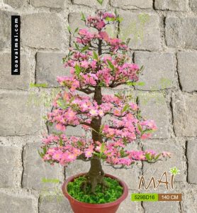 Đào Tết 140cm 529BD16