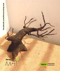 Gốc bonsai giả