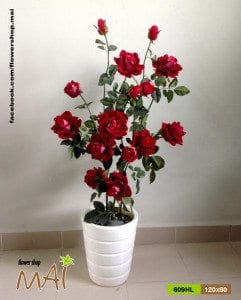 Chậu hồng nhung 609HL