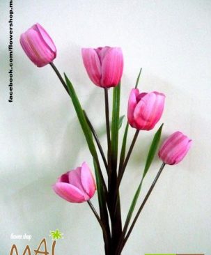 Cành Tulip 413HC