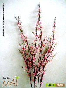 Cành đào nhí 424HC