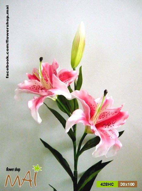 Cành Lily 428HC