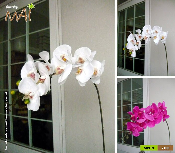 Cành lan hồ điệp cao su 9 bông 509HC