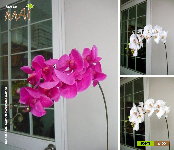 Cành lan hồ điệp cao su 9 bông 509HC - Ảnh 6