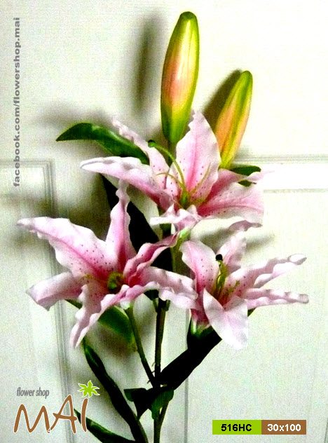 Cành Lily 516HC