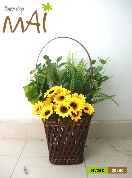 Hướng dương 268HV