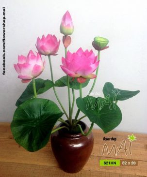 Lọ hoa sen 621HN