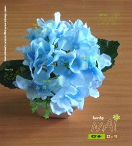 Lọ tú cầu 627HN