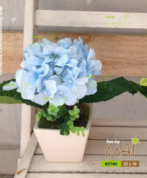 Lọ tú cầu 627HN