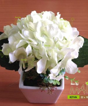 Lọ tú cầu 627HN