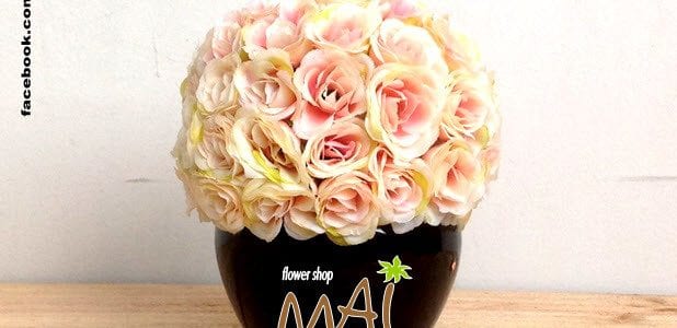 Lọ hoa hồng tỉ muội vải 636HN