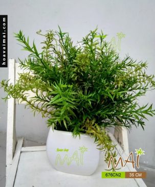 Chậu cây nhỏ 676CN2