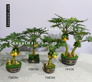Đu đủ 739 & 741CN