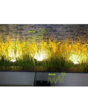 Gợi ý trang trí tiểu cảnh bông lúa