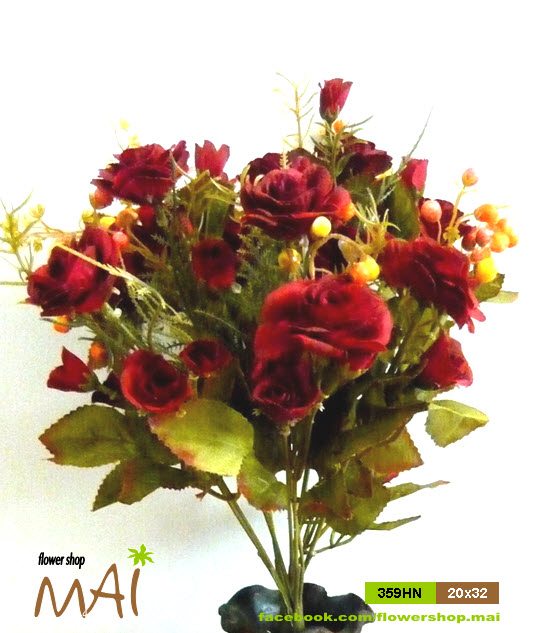 Bụi hồng 359HN