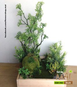 Vườn tiểu cảnh 529KVN