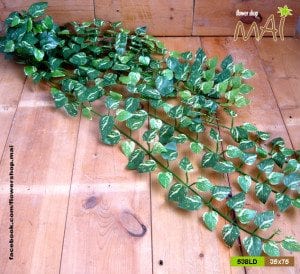 Bụi trầu bà giả lá nhỏ 538LD