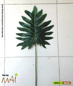 Lá trầu lớn 552LC