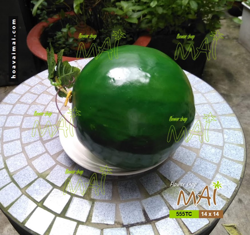 Dưa hấu giả 555TC