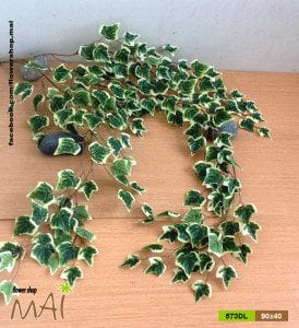 Bụi dây lá thường xuân Ivy giả 573DL