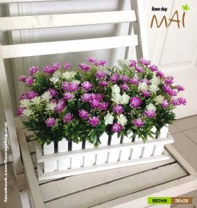 Hàng rào hoa thạch thảo trắng tím 583HN