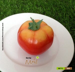 Quả cà chua nhựa trông tươi ngon 587TC