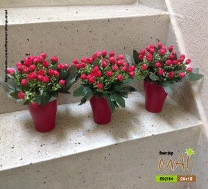 Lọ hoa giả tầm xuân nhỏ giá rẻ 592HN