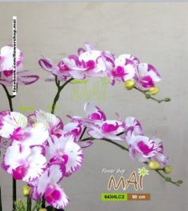 Cành hồ điệp 643HLC2