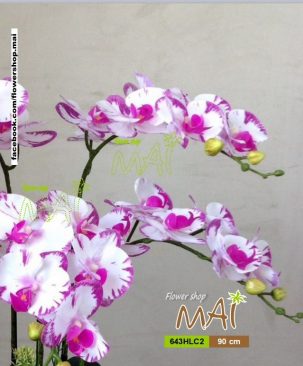 Cành hồ điệp 643HLC2