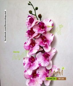 Cành hồ điệp 643HLC4