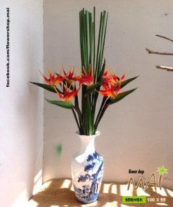 Hoa thiên điểu 656HSK
