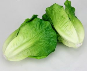 Rau xà lách, salad 608RX