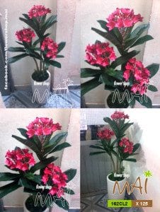 Chậu cây hoa đại giả cao 125cm 162CL2