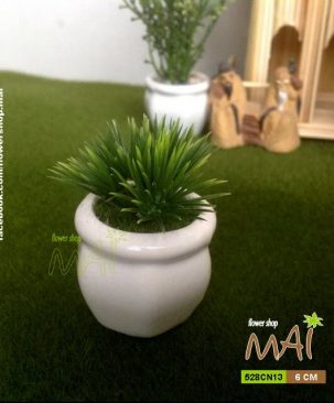 Chậu nhỏ xíu 528CN13