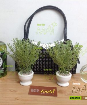 Chậu nhỏ xíu 528CN16