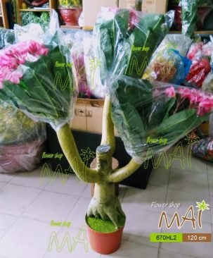 Hoa sứ - đại 670HL2