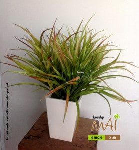 Chậu cỏ 619CN