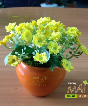 Thạch thảo 620HN2