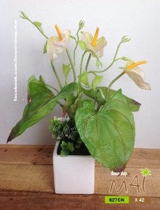 Chậu hoa lá 627CN