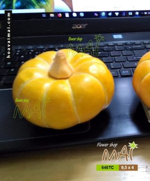 Bí ngô nhỏ 646TC