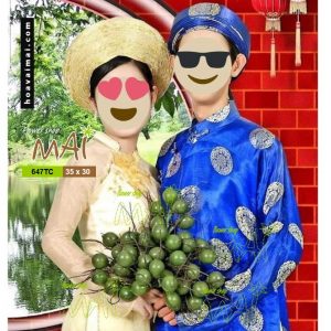 Buồng cau nhựa trang trí nhiều trái 647TC