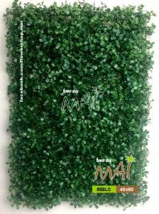 Cỏ tấm 588LC